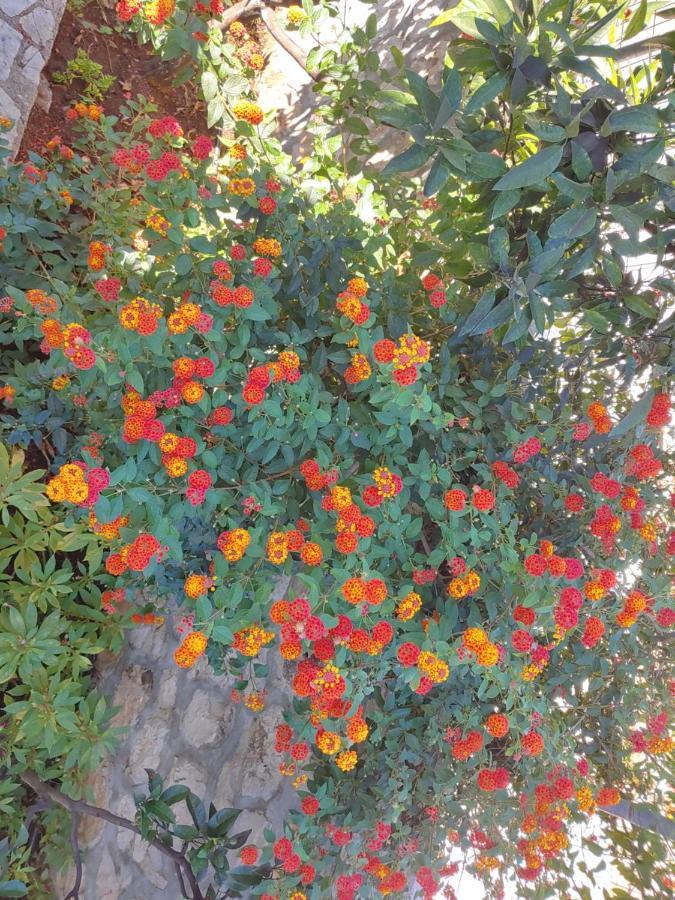 Villa Leonel Zeka Ksamil Dış mekan fotoğraf